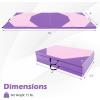 imageGiantex 4x10x 2quot Gymnastics Mat 4Panel Folding Aerobics Exercise Mat wHook ampamp Loop Fastener Carrying Handle Portable Tumbling Mat for Stretching Yoga Cheerleading Martial ArtsPurpleBaby Pink