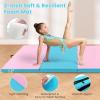 imageGiantex 4x10x 2quot Gymnastics Mat 4Panel Folding Aerobics Exercise Mat wHook ampamp Loop Fastener Carrying Handle Portable Tumbling Mat for Stretching Yoga Cheerleading Martial ArtsBluePink