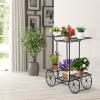 imageGiantex 6Tier Plant Stand Flower Pot Holder Metal Flower Display Shelf with 4 Decorative Wheels Multilayer Parisian Style Plant Pot Holder Rack for Indoor Garden Patio 32quotL x 10quotWx 30quotH Black