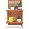 imageGiantex Folding Potting Bench 2Tier Gardening Workstation wStorage Shelves Wood Outdoor Potting Table for Garden Yard Balcony Easy Assembly Natural