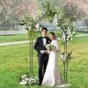 imageGiantex Metal Garden Arch Trellis  95 FT Wedding Arbor for Ceremony Garden Arbor for Climbing Plants Rose Gothic Style Outdoor Archway for Lawn Backdrop Backyard Party Decoration