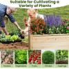 imageGiantex Wood Raised Garden Bed 475quotx475quotx245quot Elevated Planter Box wOpenEnded Base for DeepRooted Plant Vegetable Fruit Flower Outdoor Solid Wood Planter for Patio Backyard1