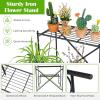 imageGiantex 2 Tier Stair Style Metal Plant Stand Flower Pot Display Holder with Widened Grid Rack Indoor Outdoor Multifunctional Storage Organizer Ladder Shelf for Garden Balcony Yard