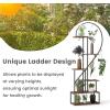 imageGiantex 6 Tier Tall Plant Stand Indoor Metal Heart Shaped Plant Shelf for Plants Multiple with 6 Hanging Hooks ampamp 12 Boards Heavyduty Metal Frame Large Ladder Display Rack for Living Room Balcony Patio Art Studio 2 Pack