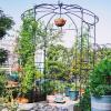 imageGiantex Birdcage Shape Gazebo  94 H x 68 W Metal Arch Trellis for Climbing Plants Clematis Vines French Style Pergola Pavilion Garden Arbor for Weddings Photoshoots Ceremony Party Outdoor Decor