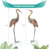 imageGiantex Crane Garden Statues Set of 2 Standing Metal Crane Sculptures Bird Ornament Yard Decorations for Lawn Backyard Porch Patio Outdoor Decor with 4 UShaped Stakes CraneCrane