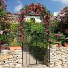 imageGiantex Garden Arbor Trellis with Door 75FT Metal Garden Arch with Gate and Stakes for Climbing Plants Rose Vine Arbors and Trellises Pergola for Lawn Patio Wedding Bridal Party Decoration