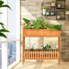 imageGiantex Planter Raised Bed 2Tier Wood Garden Bed Potted Plant Rack with Fence Elevated Standing Plant Container Box for Vegetable Flower Herb Succulent Indoor Outdoor Backyard Balcony 1Natural