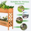 imageGiantex Planter Raised Bed 2Tier Wood Garden Bed Potted Plant Rack with Fence Elevated Standing Plant Container Box for Vegetable Flower Herb Succulent Indoor Outdoor Backyard Balcony 1Natural