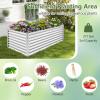 imageGiantex Raised Garden Bed Planter for Flower Vegetables Outdoor Plant Box Patio Backyard Easy Assembly 485Lx485Wx12H WhiteSilver