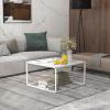 imageGiantex 275quot Square Coffee Table  Tempered Glass Center Table wBottom Storage Shelf ampamp Metal Frame Modern Accent Table for Small Space Living Room Home Office 2Tier TransparentWhite