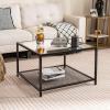 imageGiantex 275quot Square Coffee Table  Tempered Glass Center Table wBottom Storage Shelf ampamp Metal Frame Modern Accent Table for Small Space Living Room Home Office 2Tier TransparentTransparent