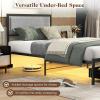 imageGiantex Queen Bed Frame with LED Lights and 2 Storage Drawers Upholstered LED Platform Bed with Linen Fabric Headboard Metal Slats Support No Box Spring Needed Light up Bed Frame GreyTwin