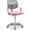 imageGiantex Kids Desk Chair Height Adjustable Children Swivel Computer Chair with YShaped Lumbar Support ampamp Universal Casters Mesh Kids Task Chair for Study Boys Girls Aged 413 BluePink