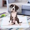 imageGiantex Puppy Pee Pads 200 Count 24x24 Dog Potty Pads Powerful Absorbency 5Layer Design LeakProof Disposable Pet Piddle Training Pad for Dogs Doggie Cats Rabbits36x24