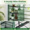 imageGiantex Mini Greenhouse Indoor Outdoor 69 x 48 x 75 Portable Plant Grow House with 5 Tier Shelves PE Cover RollUp Zipper Door Rustproof ElectorCoating Metal Frame for Patio Balcony GardenGreen