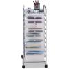 imageGiantex 15 Drawer Rolling Cart with Drawers Storage Organizer Cart for Classroom Office School Teacher Mobile Drawer Cart for Tools Crafts Small Printer Paper PastelClear
