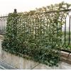 imageGiantex Artificial Faux Ivy Privacy Fence 95x40 Artificial Hedge Faux Ivy Vine Leaf Greenery Wall Screen Decorative Trellis Fence Covering for Outdoor Porch Garden Patio95x59
