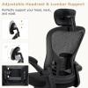 imageGiantex Ergonomic Mesh Office Chair Home Office Desk Chair with Adjustable Headrest and Lumbar Support Flip Up Armrests Height Adjustable Executive Swivel Task Chair for Home Office Study Black