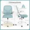 imageGiantex Mesh Office Chair Ergonomic Desk Chair with Flipup Arms amp Lumbar Support Height Adjustable Swivel Computer Desk with High Back for Home Office BlackBlue