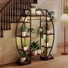 imageGiantex Plant Stand Indoor with Grow Lights 10Tier 63 Tall Metal Plant Shelf for Multiple Plants Decorative Curved Large Flower Stand Display Pot Rack for Living Room Home Balcony Patio
