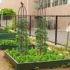 imageGiantex 2Pack Tomato Cages 78 PECoated Metal Garden Obelisk Trellis for Climbing Plants Rustproof Plant Cage amp Supports wAdjustable Height Support Stand for Vine Jasmine Rose Tomato