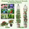 imageGiantex 2Pack Tomato Cages 78 PECoated Metal Garden Obelisk Trellis for Climbing Plants Rustproof Plant Cage amp Supports wAdjustable Height Support Stand for Vine Jasmine Rose Tomato