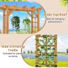 imageGiantex 75FT Wood Garden Arbor Trellis Wooden Wedding Arch for Ceremony Party Outdoor Archway Pergola for Climbing Plants Pathway Yard Garden Decor Easy Assembly Honey Brown 63W x 90HHoney Brown