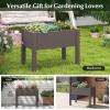 imageGiantex Raised Garden Bed with Legs SelfWatering Planter Box with Water Level Indicator Drainage Hole amp Detachable Space Dividers Outdoor Plant Container for Flower Vegetable Fruit Herb BrownBrown