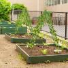 imageGiantex 2 Pack Garden Trellis 72 FT Tall Galvanized Steel Trellis for Climbing Plants Outdoor for Patio Lawn Wall Decor Plant Trellis for Vine Cucumber Tomato Flower Clematis Roses WhiteGreen