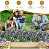imageGiantex 3Tier Raised Garden Bed Tiered Planter Box wOpenEnded Base Fir Wood Elevated Raised Beds for Gardening Vegetable Flower Herb Fruit Perfect for Patio Lawn Backyard925Lx95Wx11H