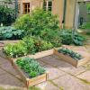 imageGiantex 3Tier Raised Garden Bed Tiered Planter Box wOpenEnded Base Fir Wood Elevated Raised Beds for Gardening Vegetable Flower Herb Fruit Perfect for Patio Lawn Backyard925Lx95Wx11H