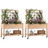 imageGiantex 65 Wooden Raised Garden Bed wTrellis on Wheels Mobile Elevated Planter Box wLegs Liner amp Drainage Holes for Climbing Plant Vegetable Herb Flower Outdoor Garden Box Backyard Balcony2