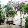imageGiantex Metal Garden Arbor 75 FT Heavy Duty Arch Trellis for Climbing Plants Decorative Outdoor Garden Archway with Pointed Legs Wedding Arbor for Party Backyard Lawn Ceremony Decoration66W x 95H