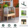 imageGiantex Mini Portable Greenhouse  for Raised Garden Bed 47x215x24 Outdoor Greenhouses with PE Cover RollUp Zipper Door Waterproof Plant Shelter for Garden Patio Lawn Vegetables amp Flowers