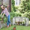 imageGiantex Mini Portable Greenhouse  for Raised Garden Bed 47x215x24 Outdoor Greenhouses with PE Cover RollUp Zipper Door Waterproof Plant Shelter for Garden Patio Lawn Vegetables amp Flowers