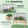 imageGiantex Raised Garden Bed with Cover Wood Elevated Planter Box with Legs amp Mini Greenhouse Waterproof SunProtective PE Green House Cover Outdoor Use for Fruit Vegetable Flower Herb WhiteGrayWhitenatural