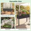 imageGiantex Raised Garden Bed with Legs amp Greenhouse Cover 44x22x60 Elevated Metal Planter Box with Rollup Door Outdoor Mini Greenhouse for Vegetable Flower Herb Patio Balcony Black2Black