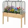 imageGiantex Raised Garden Bed with Cover Wood Elevated Planter Box with Legs amp Mini Greenhouse Waterproof SunProtective PE Green House Cover Outdoor Use for Fruit Vegetable Flower Herb WhiteGrayWhitenatural