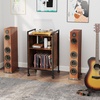 image:imageGiantex Record Player Stand with Charging Station Mobile Turntable Stand with Record Storage amp 4 Rolling Wheels 3Tier Vinyl Record Storage w Open Shelves amp Dividers for Living Room Rustic Brown