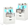 image:imageGiantex LED Night Stand with Charging Station End Side Table wOpen Shelves 2 Storage Drawers Cable Holes Nightstand wAdjustable Light Color amp Mode Modern Bedside Table for Bedroom 1 WhiteWhite