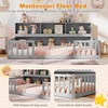 image:imageGiantex Twin Floor Bed with Fence for Kids Wooden Montessori Bed Frame with Lockable Door amp Guardrails Low Floor Beds for Kids Boys Girls No Box Spring Needed Without Wood Slats Mint SkyGrey