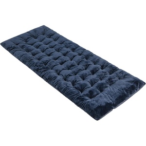image:imageGiantex Camping Cot Pad 75 x 275 x 3 Recliner Cushion with 4 Fixing Straps Thickened Cushion for Lounge Chair and Swing Indoor Outdoor Use Mattress Pad for Hiking Travel Camp VacationBlue