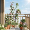 image:imageGiantex Metal Garden Trellis for Climbing Plants 75 x 20 Outdoor Rose Trellis wFoldable Bottom Shelf Freestanding Plant Support for Vines Flowers Vegetables amp Fruits Patio Lawn Garden WhiteWhite