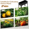 image:imageGiantex Metal Raised Garden Bed with Legs Elevated Planter Box with Drainage Holes for Vegetable Fruit Flower Herb Outdoor Standing Gardening Box for Balcony Backyard Patio Porch 24x11x18Dark