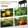 image:imageGiantex Metal Raised Garden Bed with Legs Elevated Planter Box with Drainage Holes for Vegetable Fruit Flower Herb Outdoor Standing Gardening Box for Balcony Backyard Patio Porch 24x11x18Dark