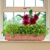 image:imageGiantex Raised Garden Bed 36 x 7 x 65 Wooden Elevated Planter Box for Flower Vegetable Herb Garden Window Mounted Plant Box for Planting Garden Backyard Patio2