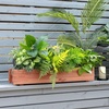 image:imageGiantex Raised Garden Bed 36 x 7 x 65 Wooden Elevated Planter Box for Flower Vegetable Herb Garden Window Mounted Plant Box for Planting Garden Backyard Patio2