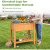 image:imageGiantex Wooden Raised Garden Bed wLegs Wood Elevated Planter Box 35Lx 16Wx24H Outdoor Planter Stand for Flower Herb Garden Vegetable Fruit SucculentOrange