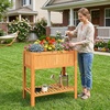 image:imageGiantex Wooden Raised Garden Bed wLegs Wood Elevated Planter Box 35Lx 16Wx24H Outdoor Planter Stand for Flower Herb Garden Vegetable Fruit SucculentOrange
